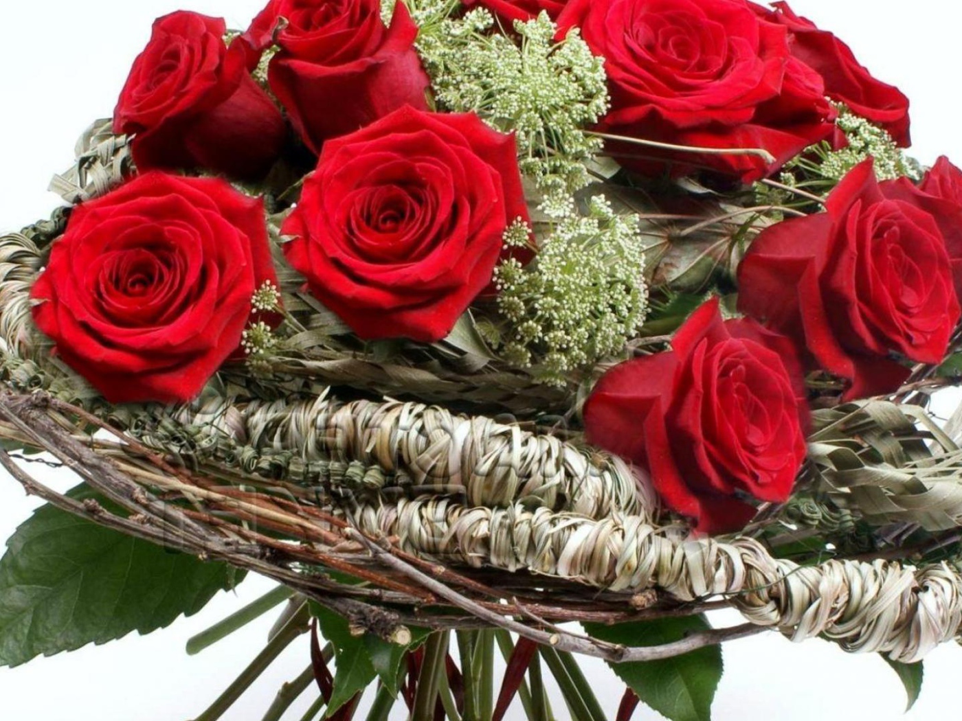 Красные розы на 8 марта в красивой бумаге