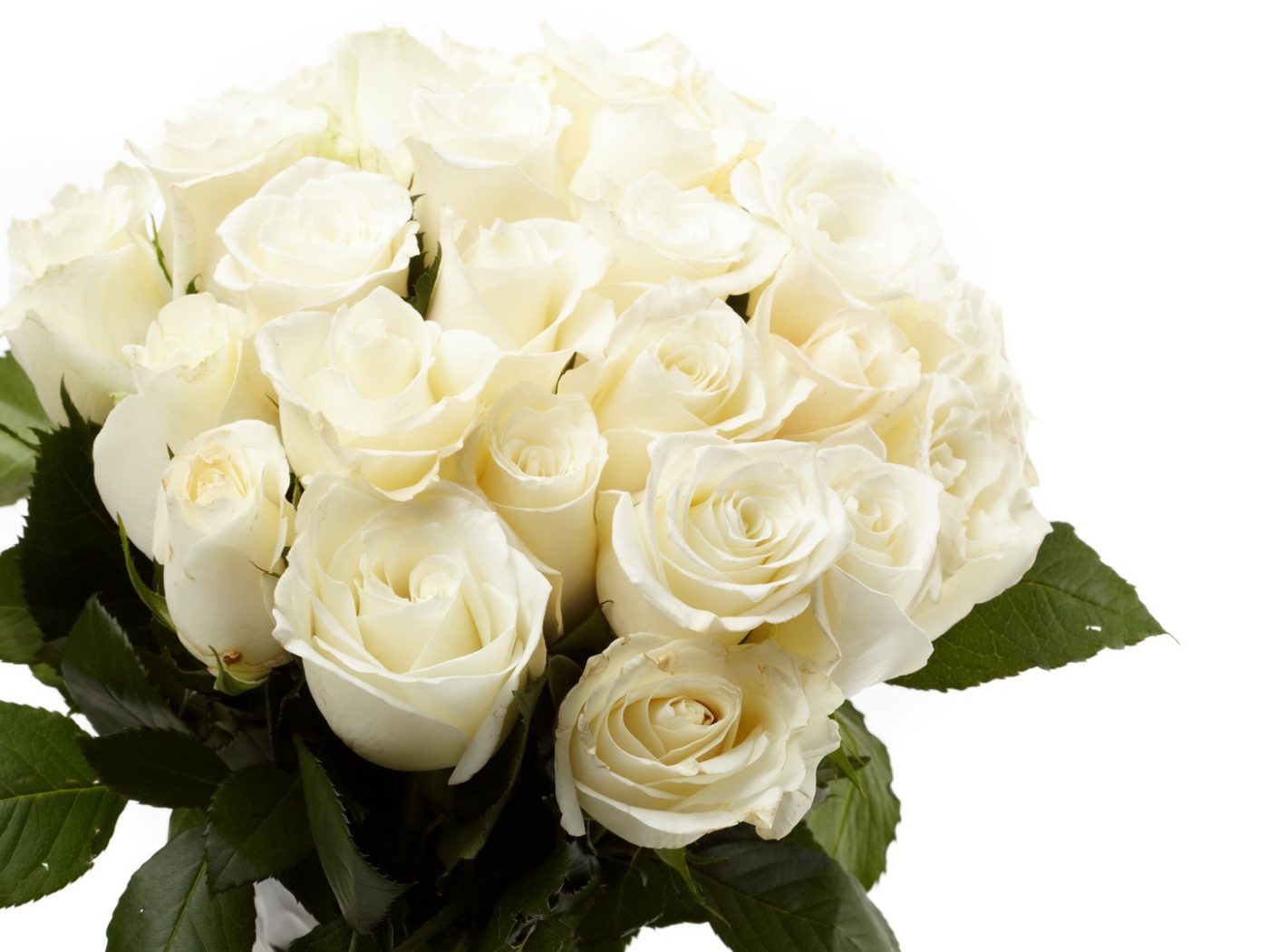 Белые розы в букете в подарок на восьмое марта