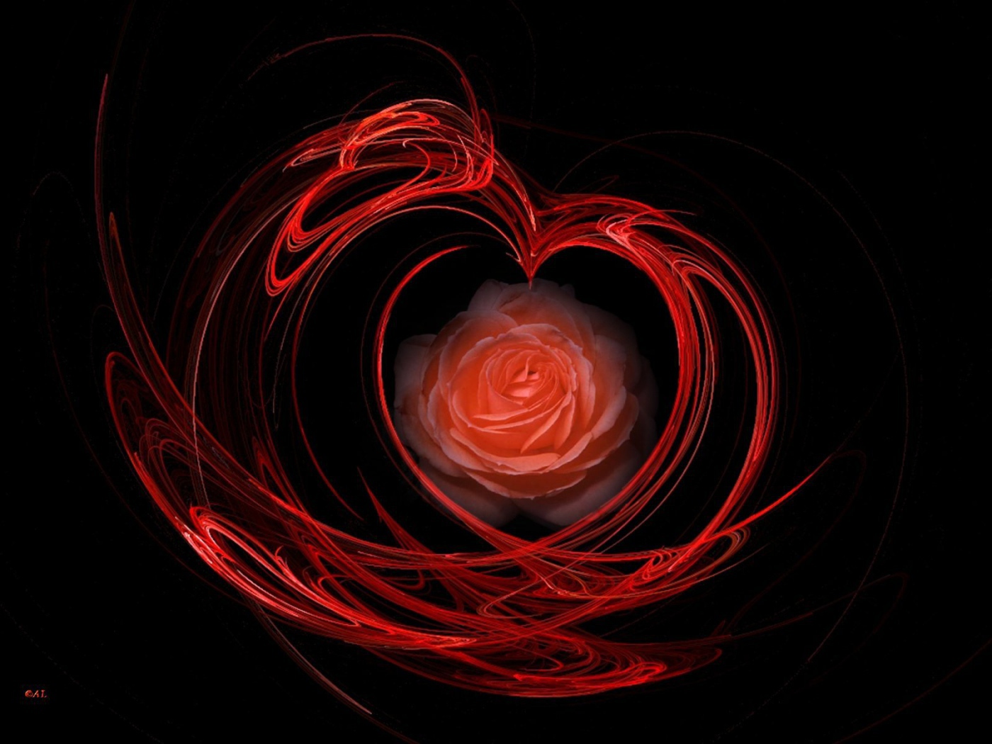 Огненная роза на День Святого Валентина 14 февраля