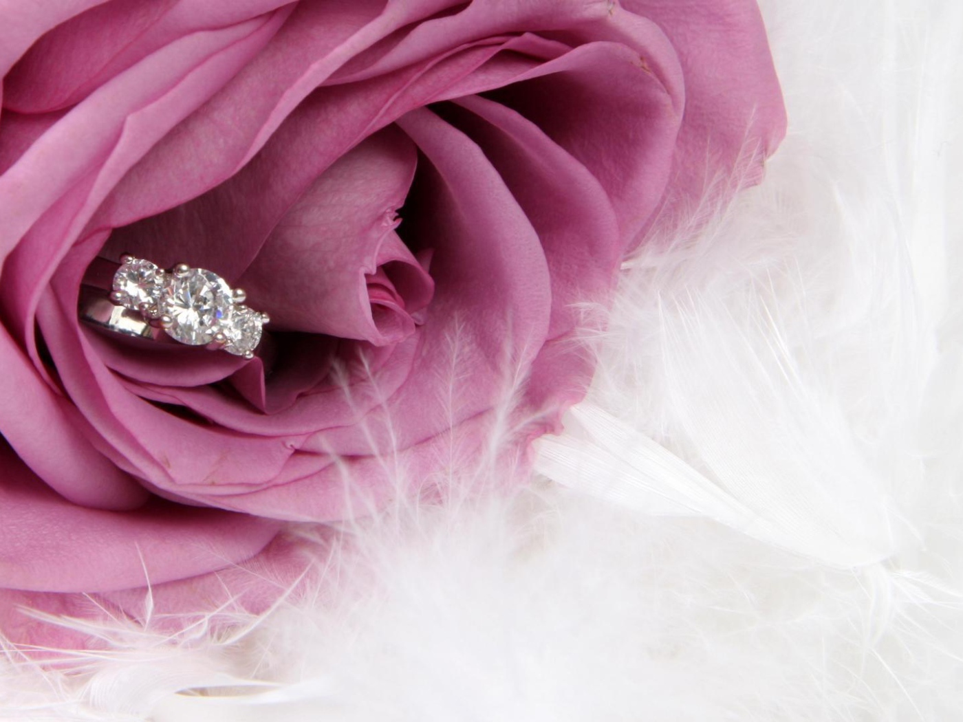 Фиолетовая роза и кольцо, предложение руки и сердца