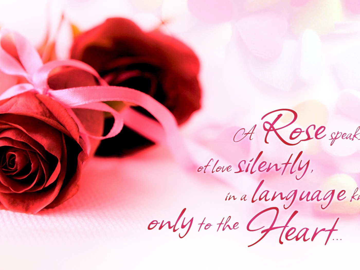 Красные розы и красивые слова о любви