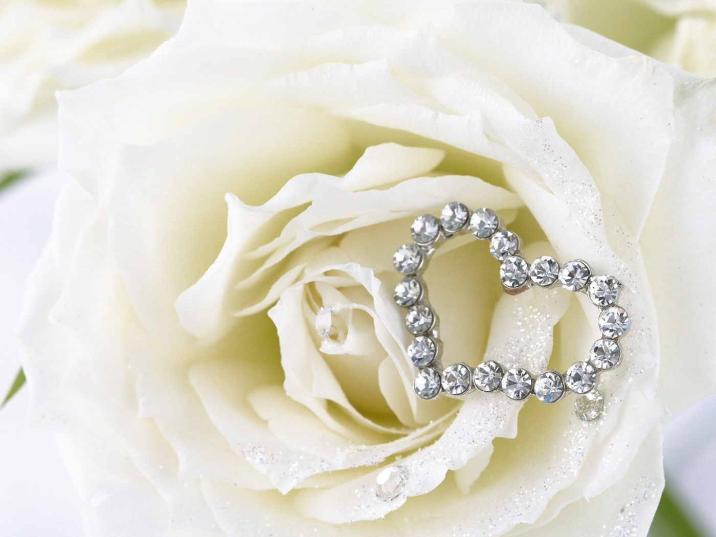 Белые розы и сердце из белых драгоценных камней