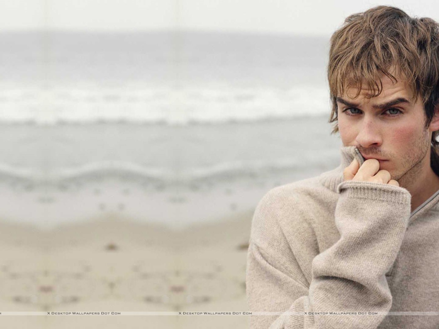 Популярный голливудская кинозвезда Йен Сомерхолдер