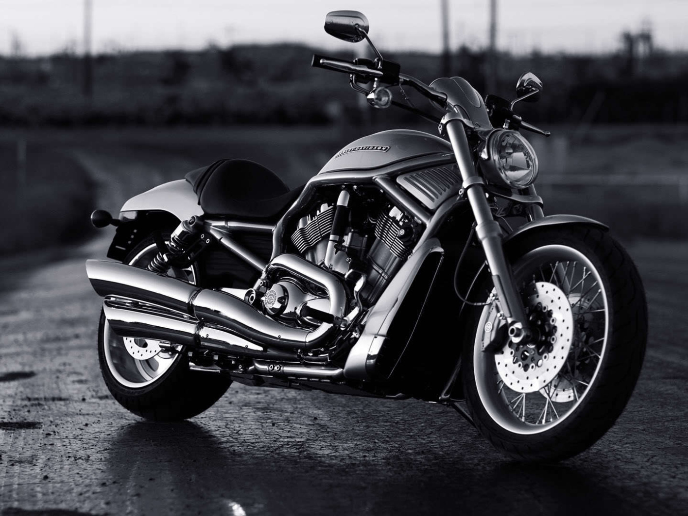 Новый надежный мотоцикл Harley-Davidson V-Rod Muscle