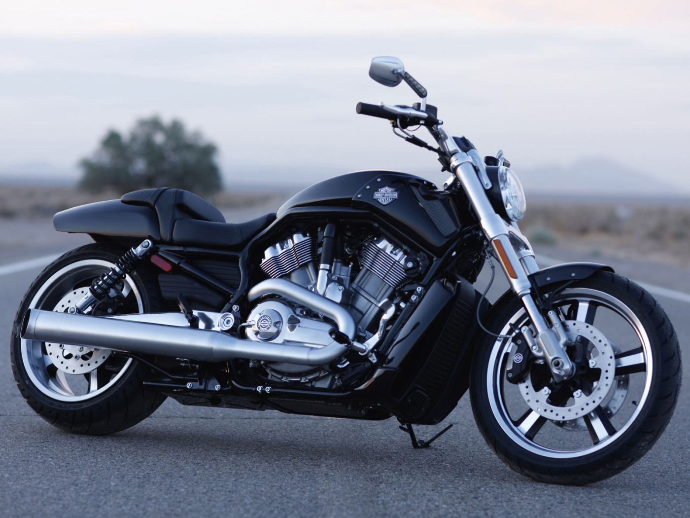 Популярный мотоцикл Harley-Davidson V-Rod Muscle
