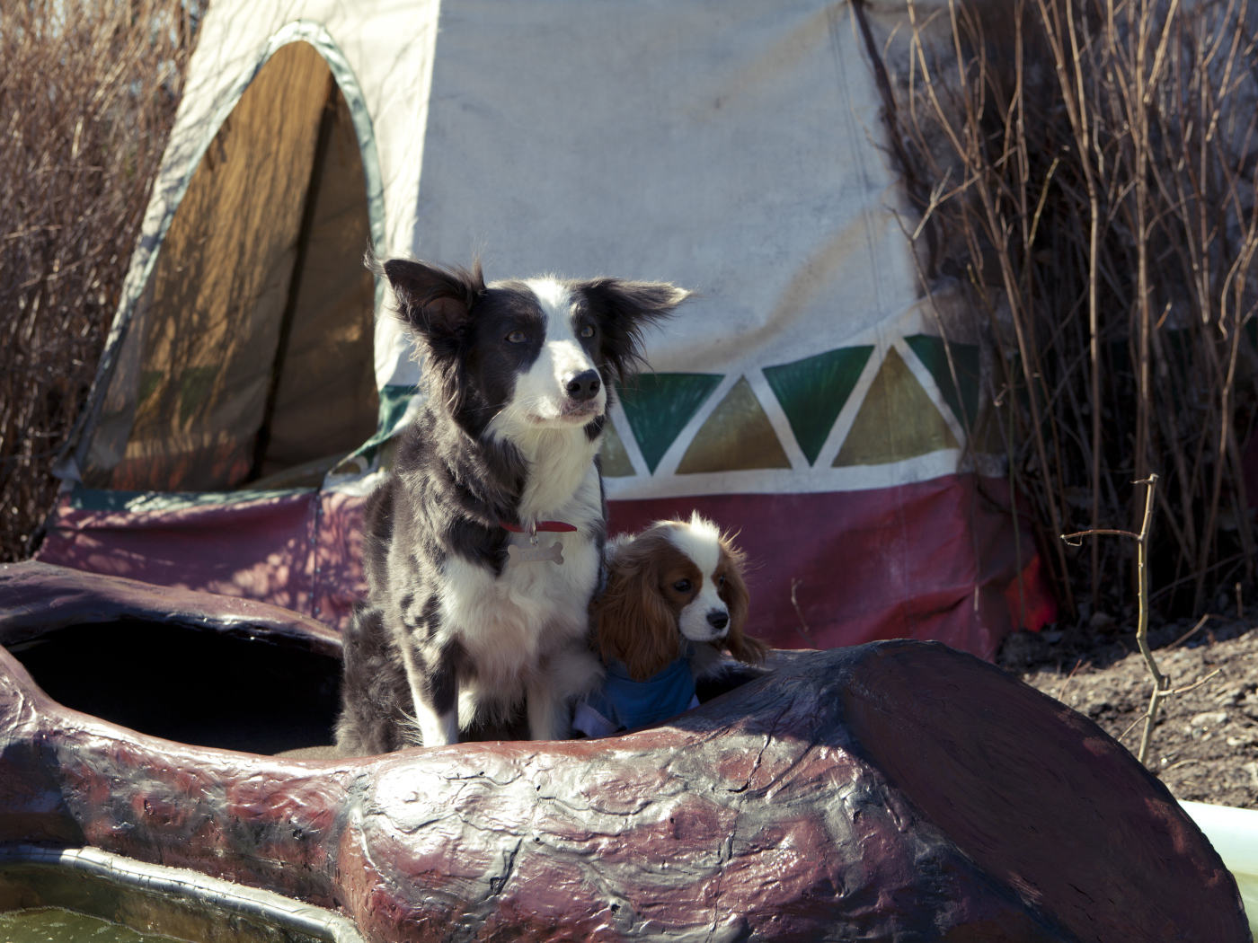 Герои фильма Ёлки лохматые 2014