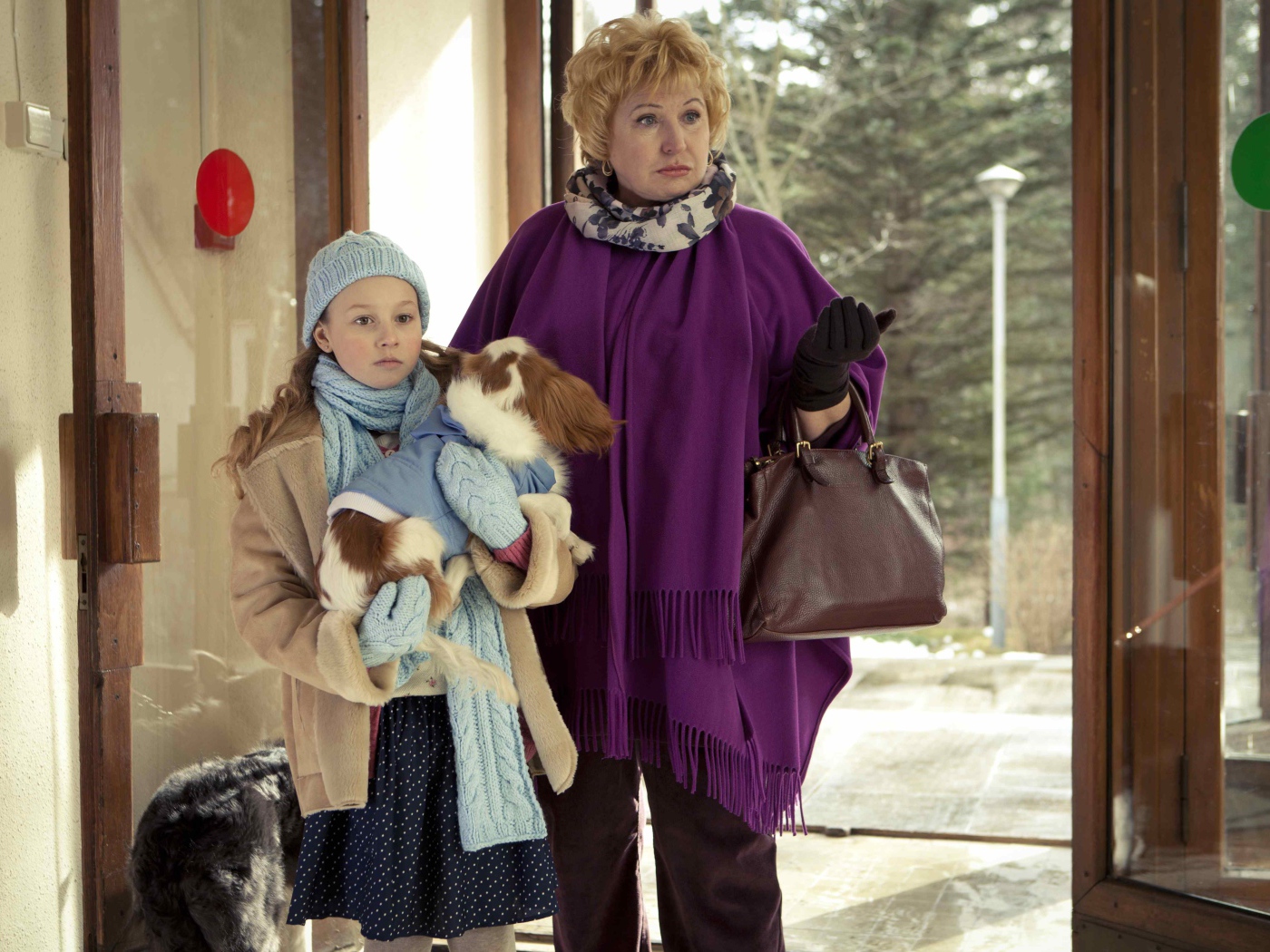 Фильм Ёлки лохматые 2014