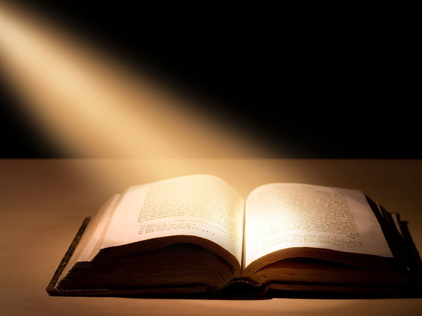 Новый фильм Воровка книг