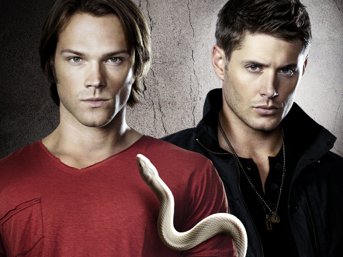 Sam and Dean from the TV series Supernatural