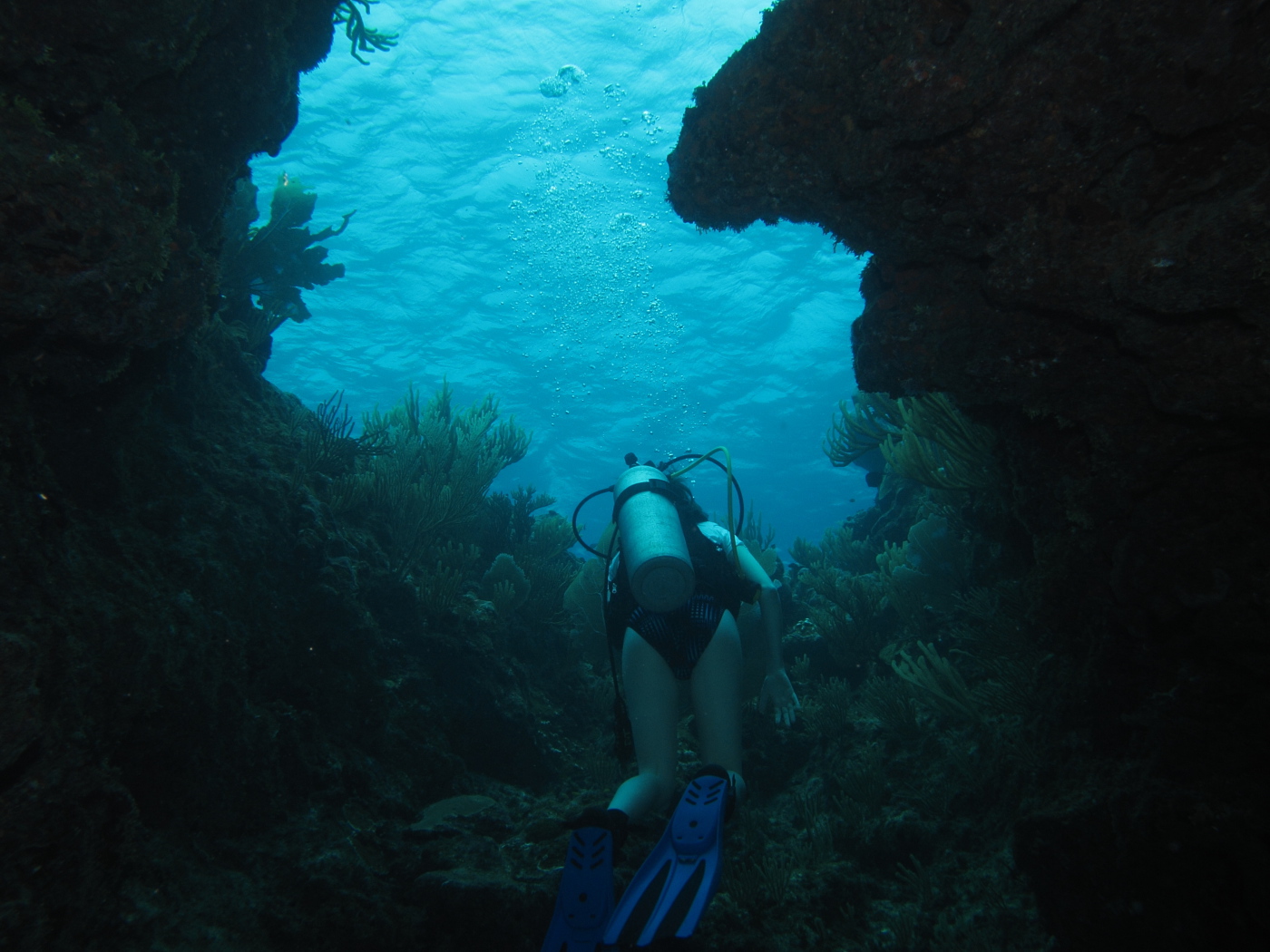 Тайна двух океанов