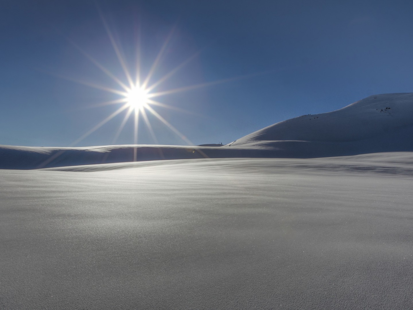 Звезда пустыни