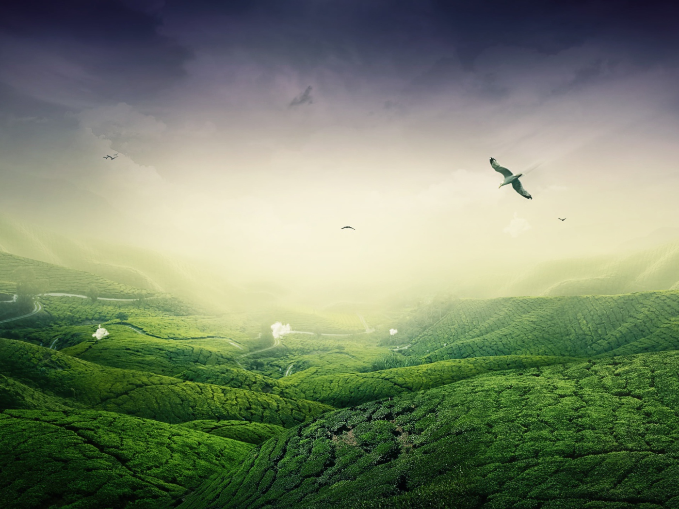 Зеленый пейзаж