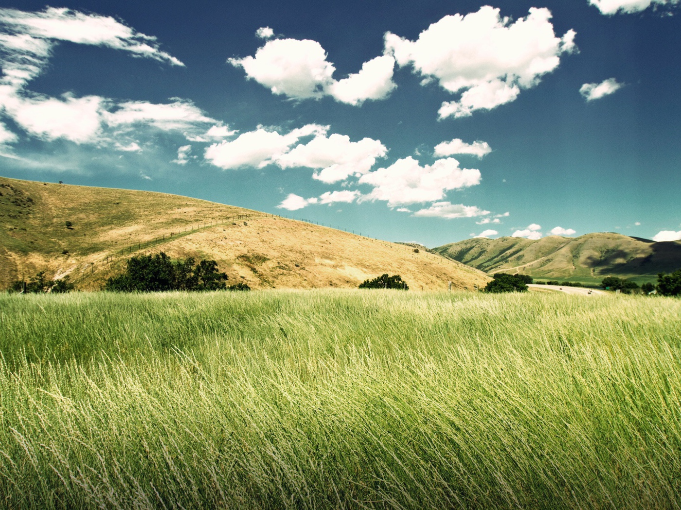 Зеленая долина