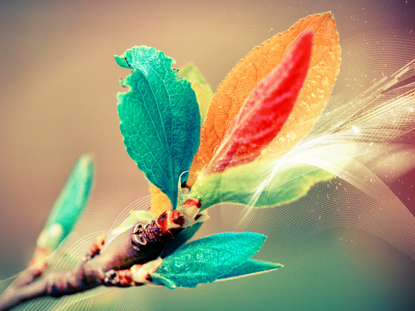 Листья в поляризованном свете