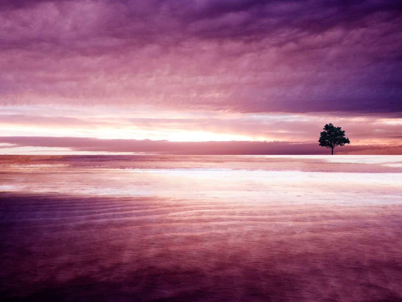 Фиолетовая природа 