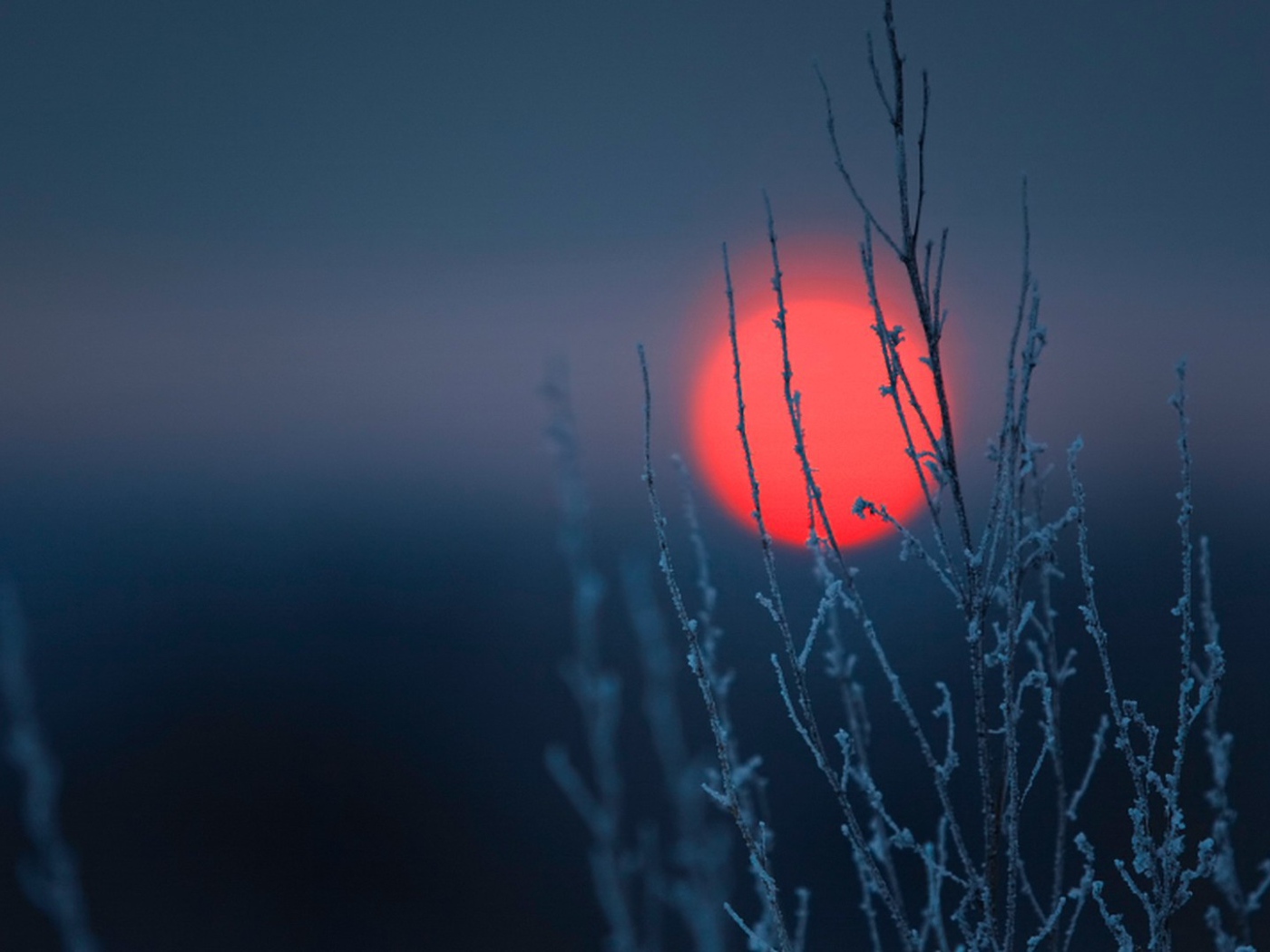 Kрасное пятно на  тёмном фоне