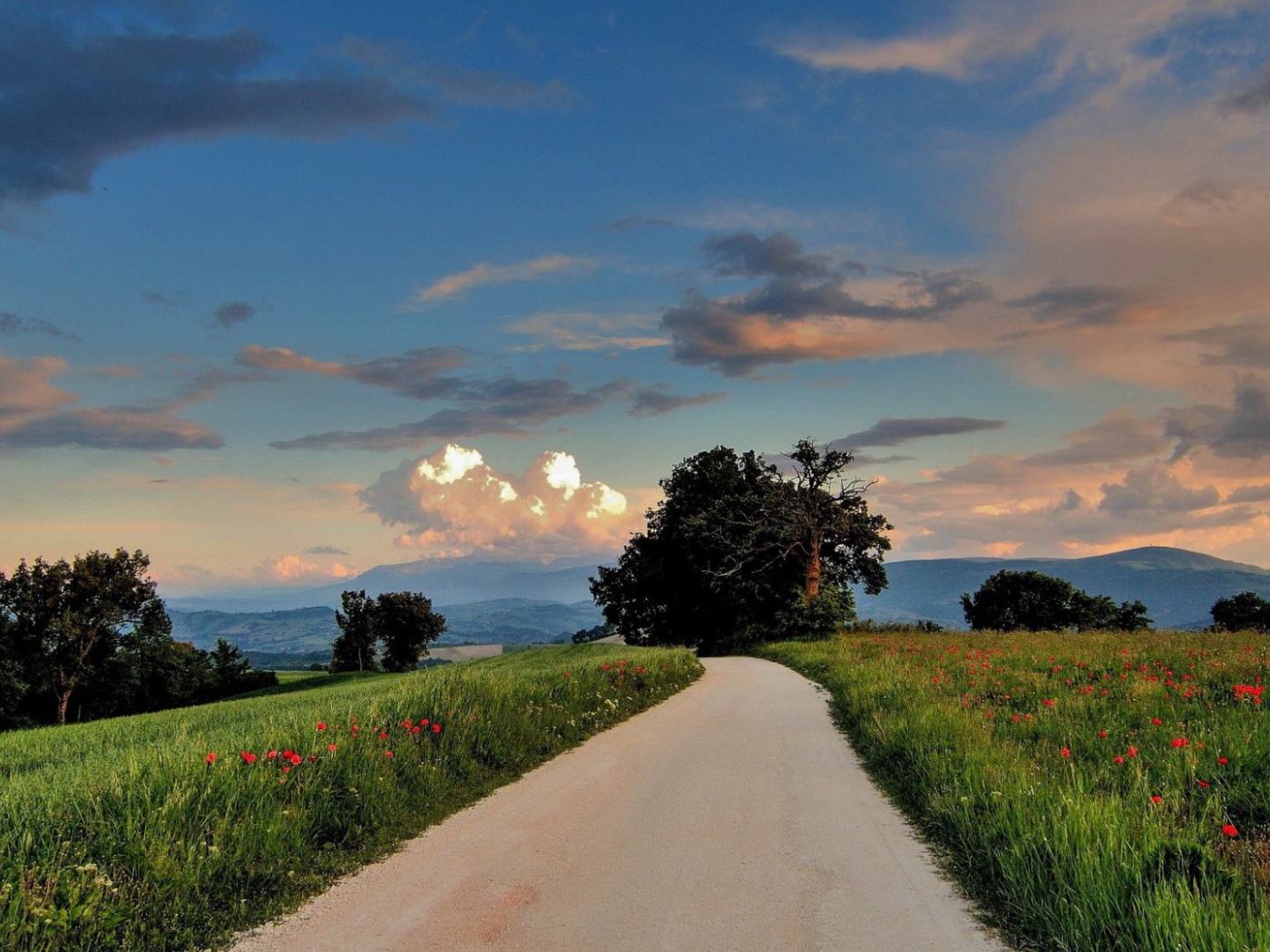 Дорога сельской местности