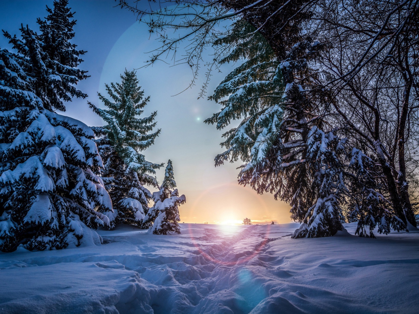Восход в зимнем лесу
