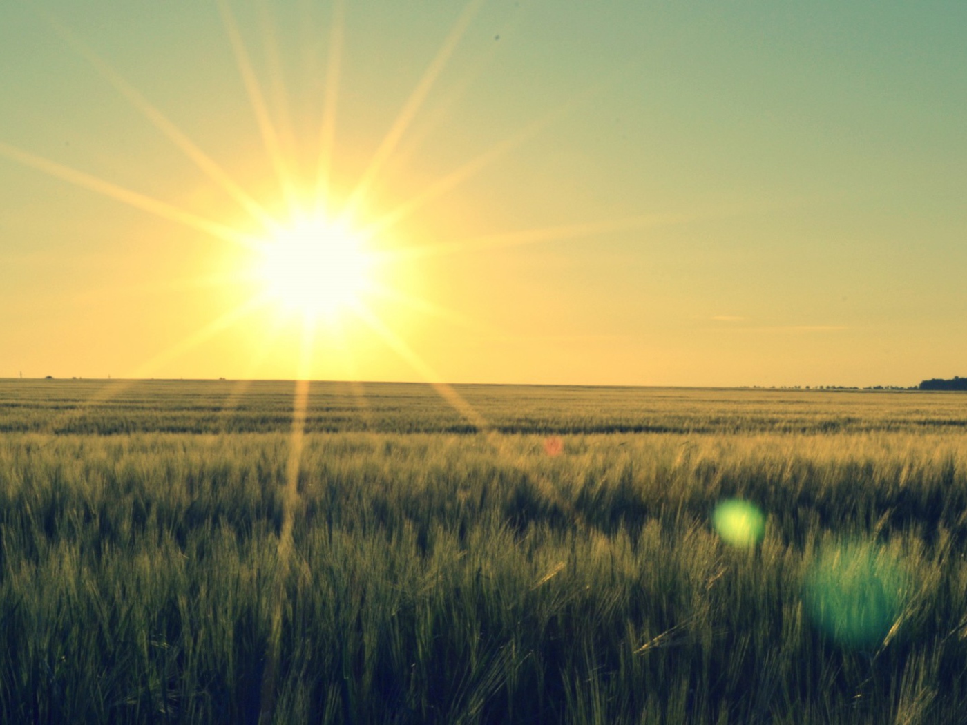 Закат в степи