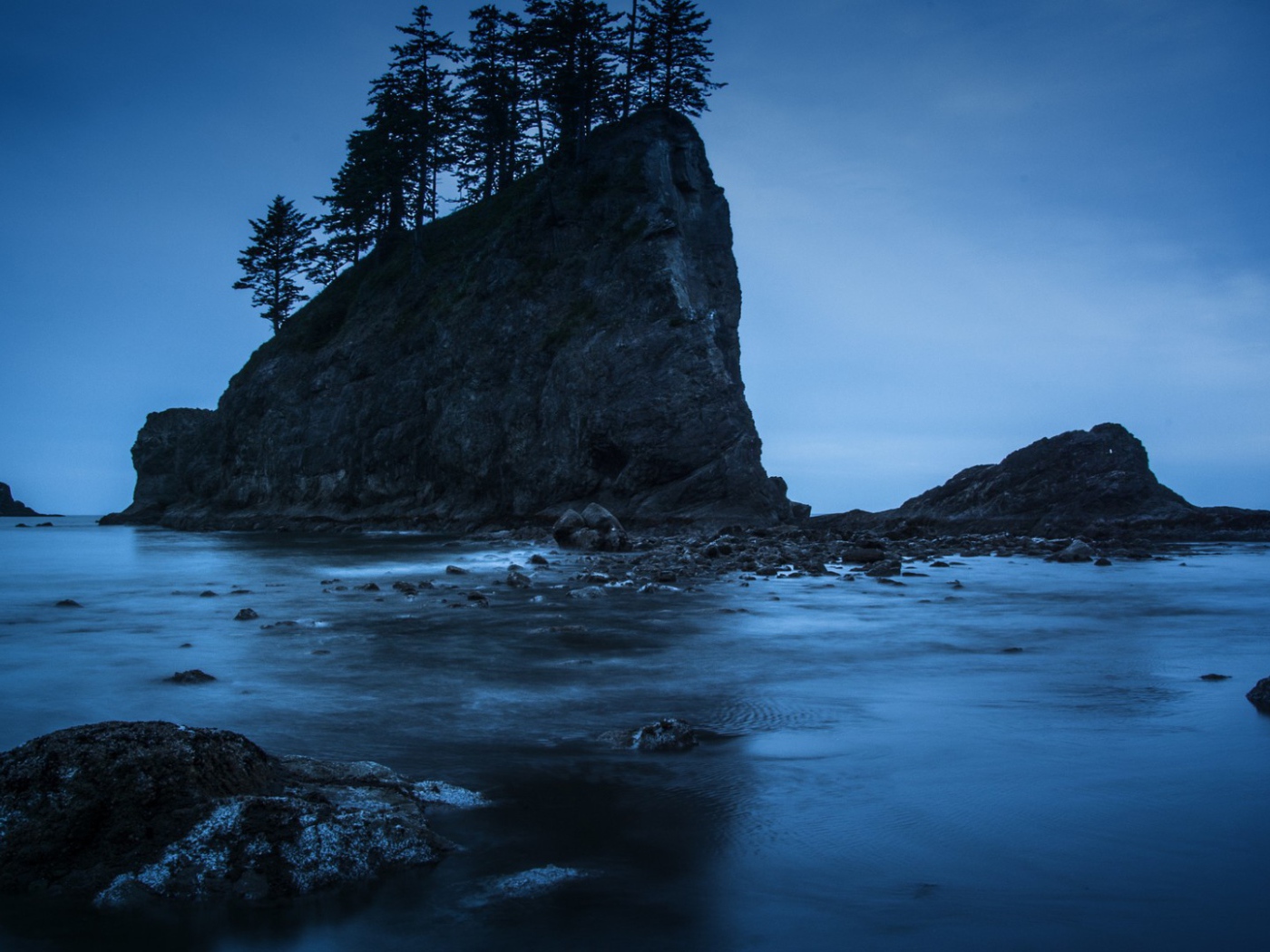 Деревья на прибрежной скале