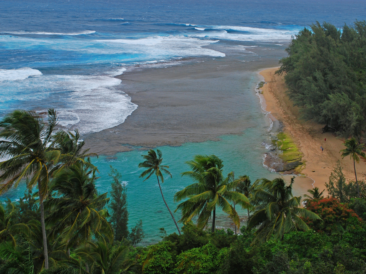 Дикий пляж у моря