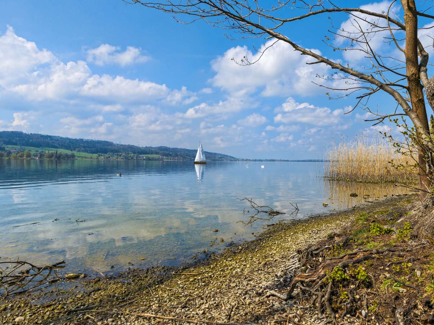 Редкие осенние облака