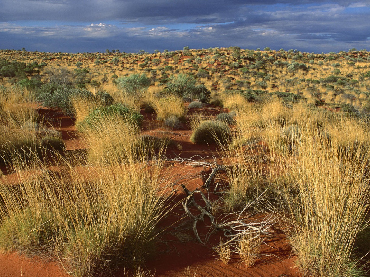 Пустыня в Австралии