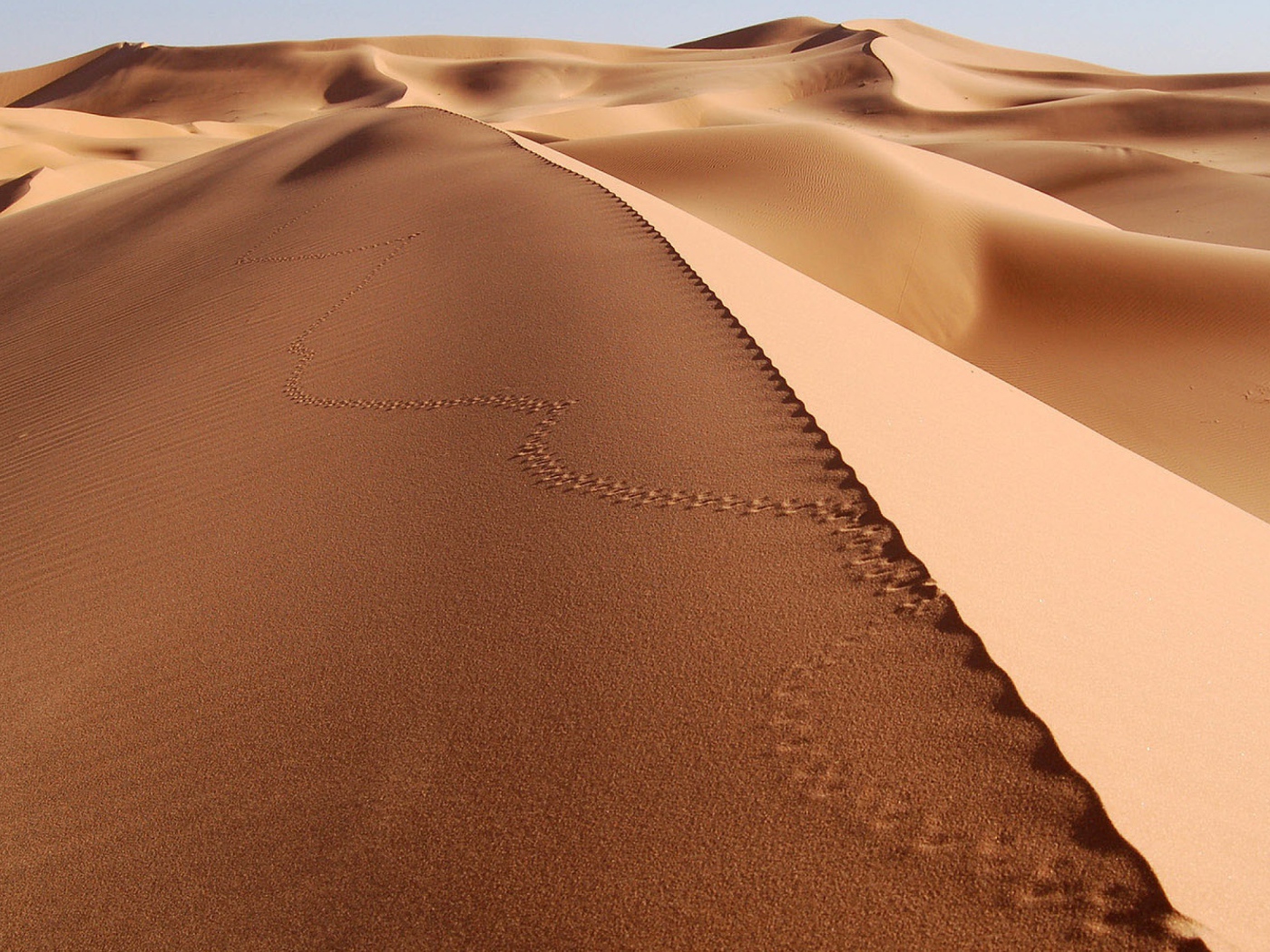 Следы на песке в пустыне