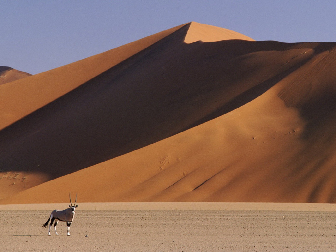 Пустыня Намибии