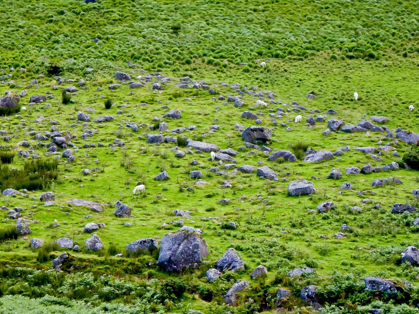 Английская природа