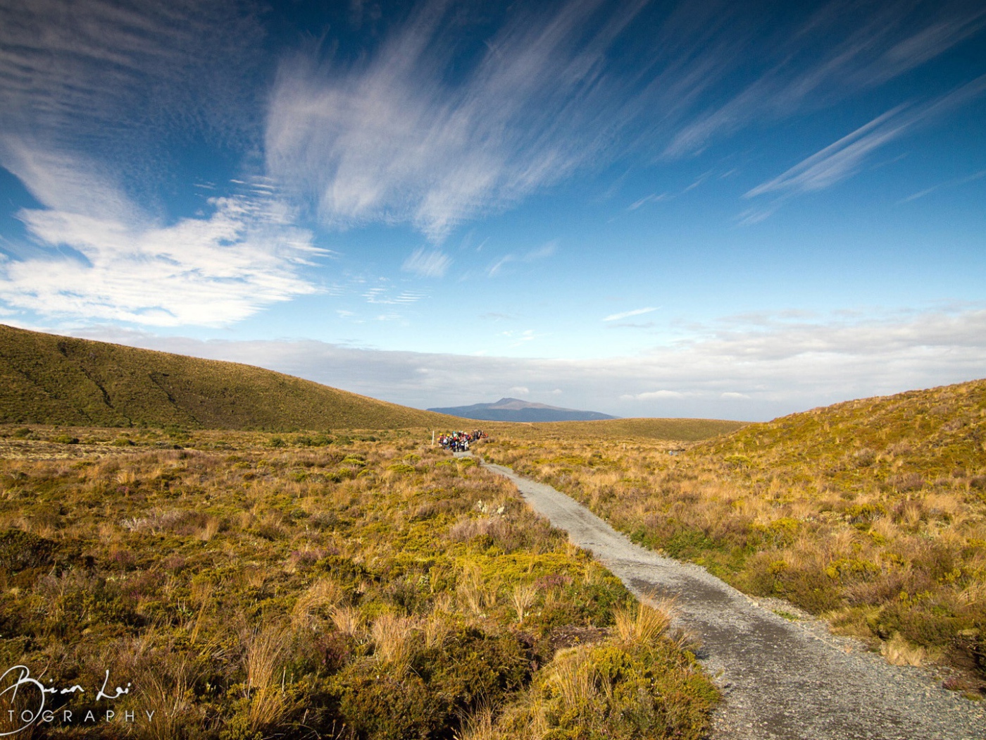 Пейзаж в Новой Зеландии