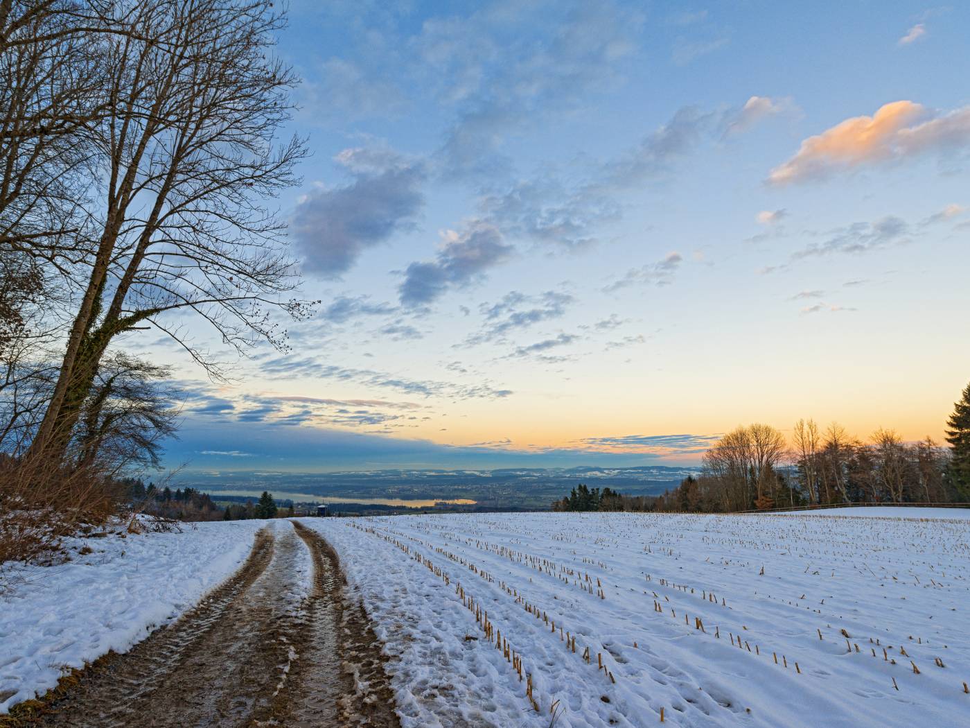 Дорога в зимнем поле