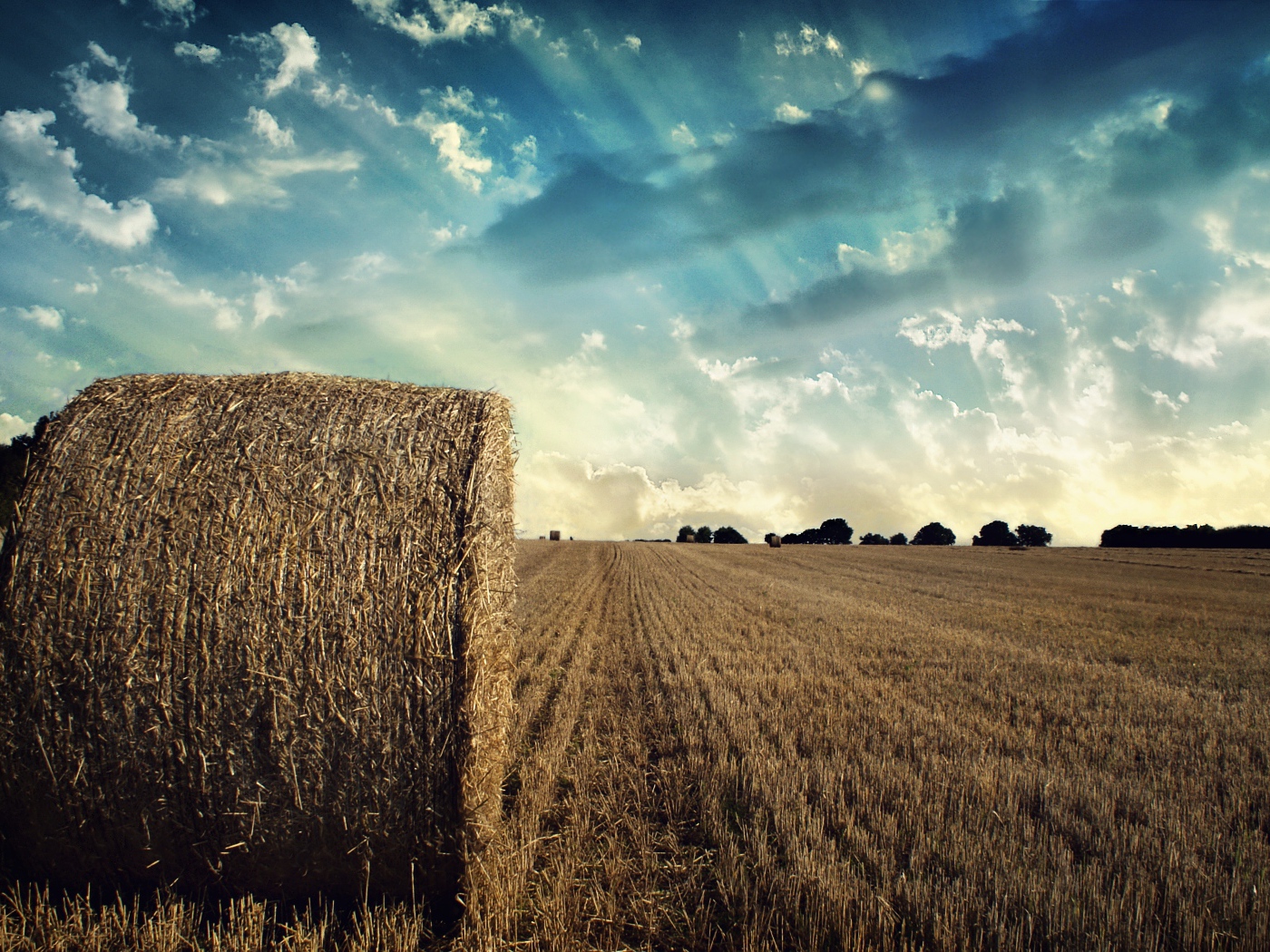 Убранное поле