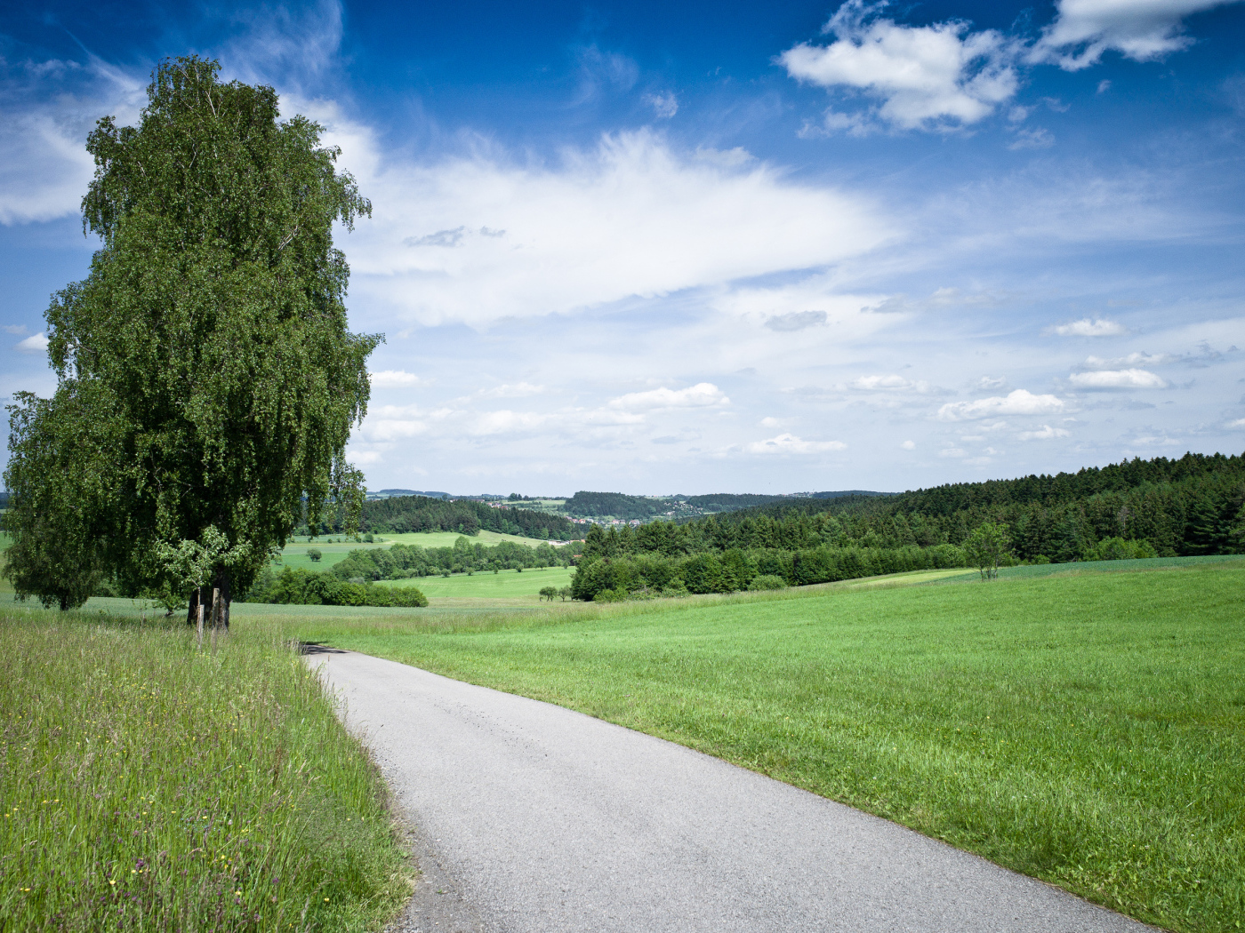 Дорога через поле