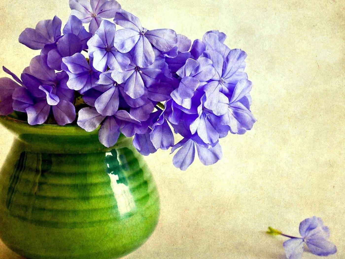 В вазе красивые цветы флокс