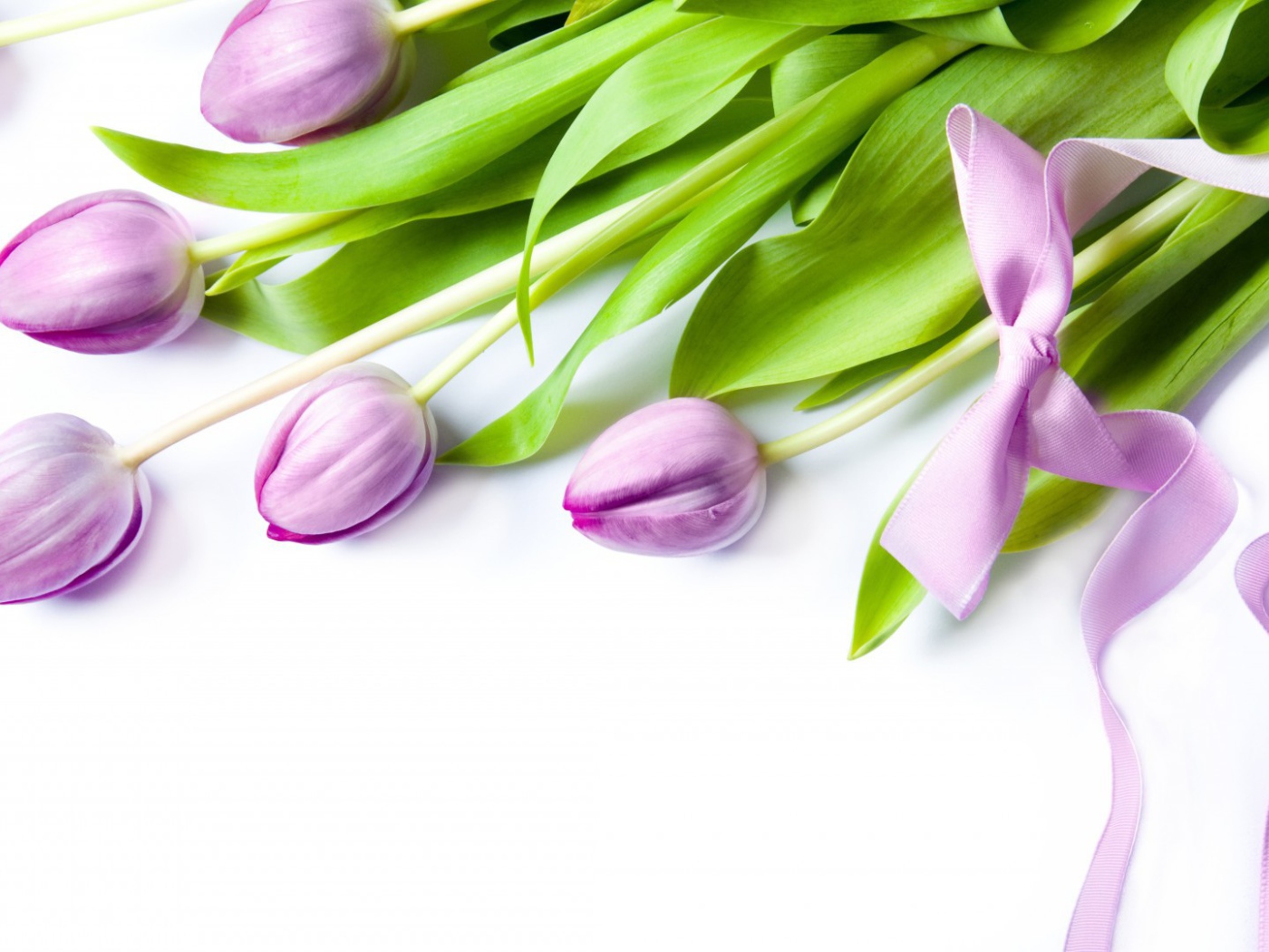 Фиолетовые цветы с бантом