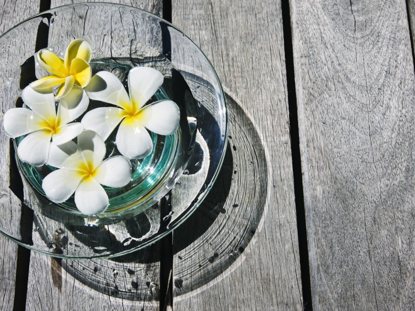 белая композиция