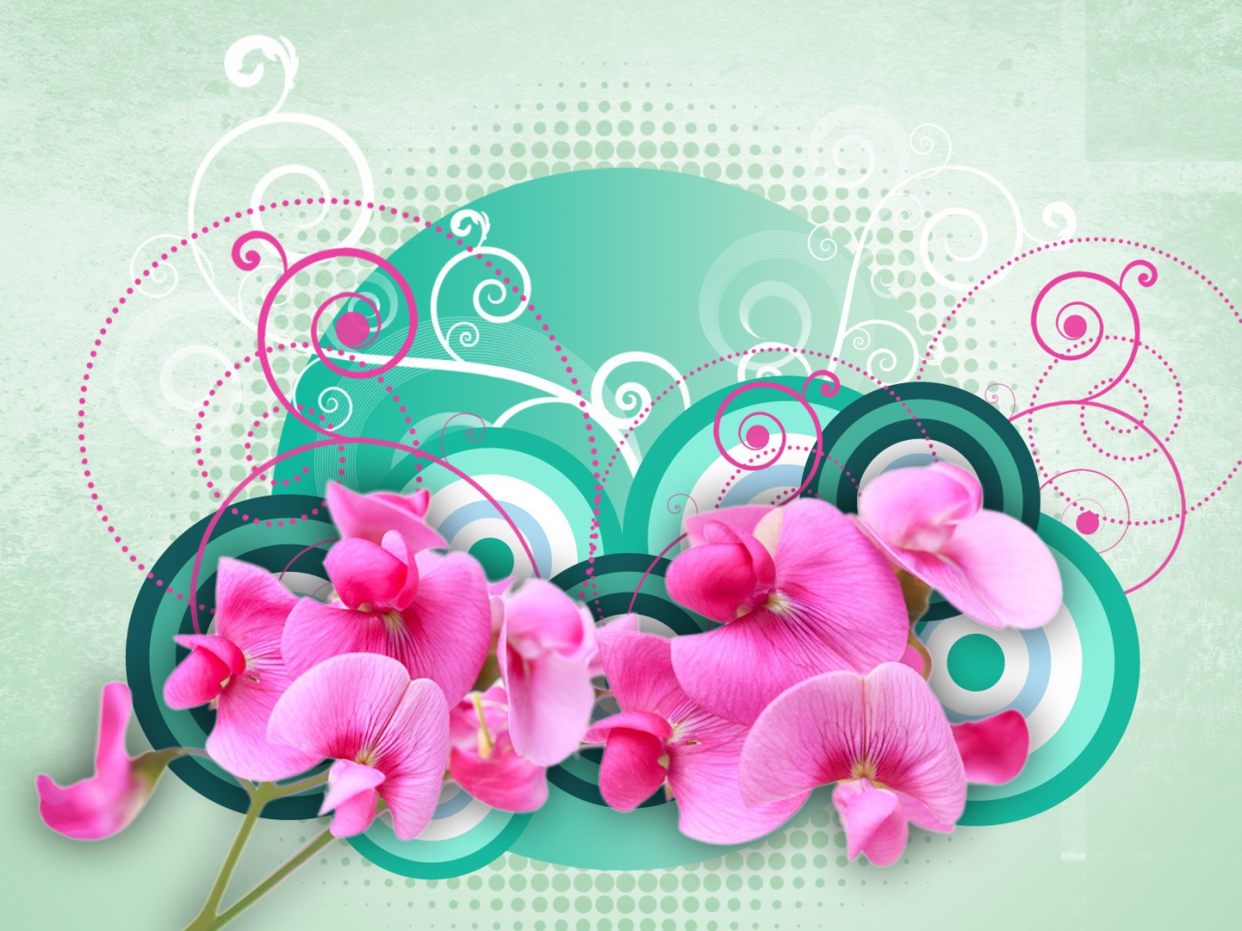 Рисунок с орхидеями