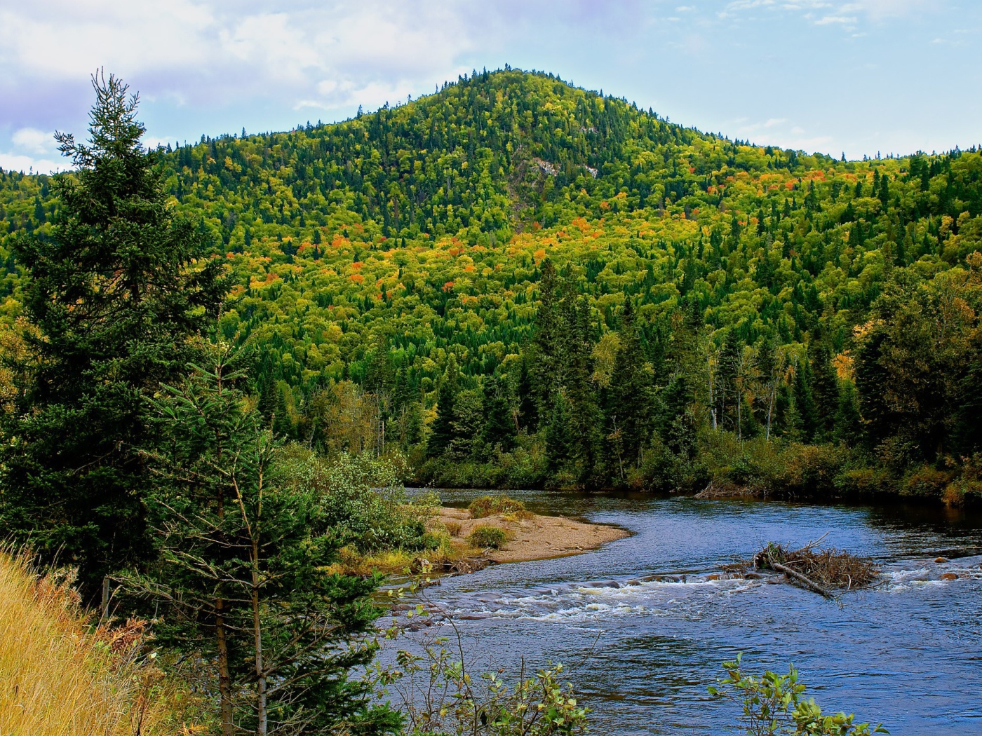 Гора покрытая лесом