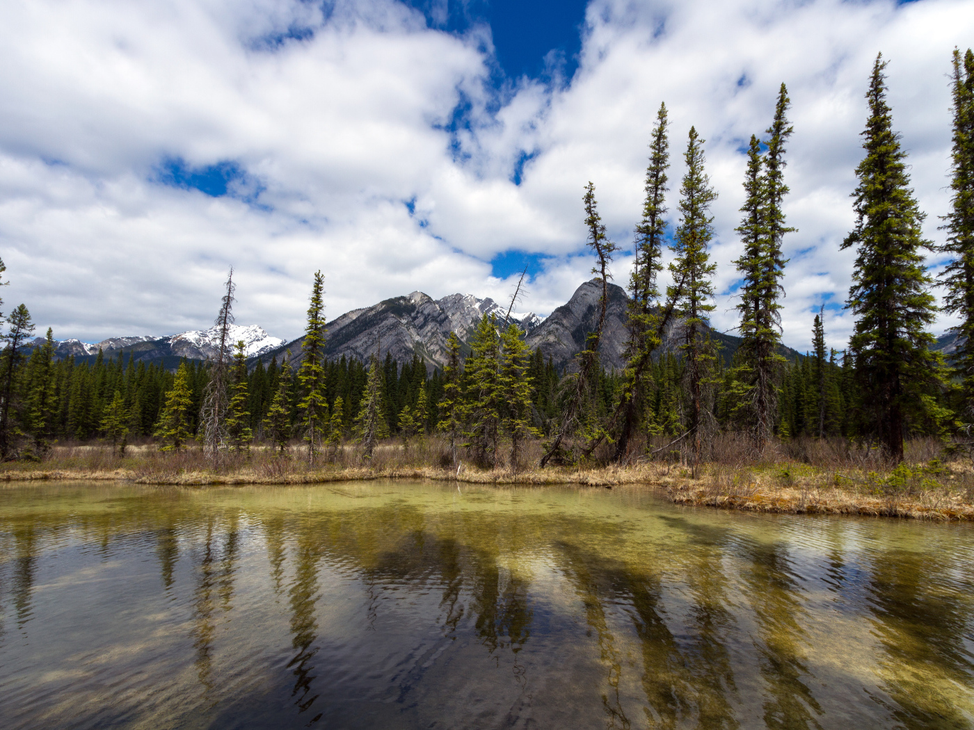 Маленькое озеро и красивые горы