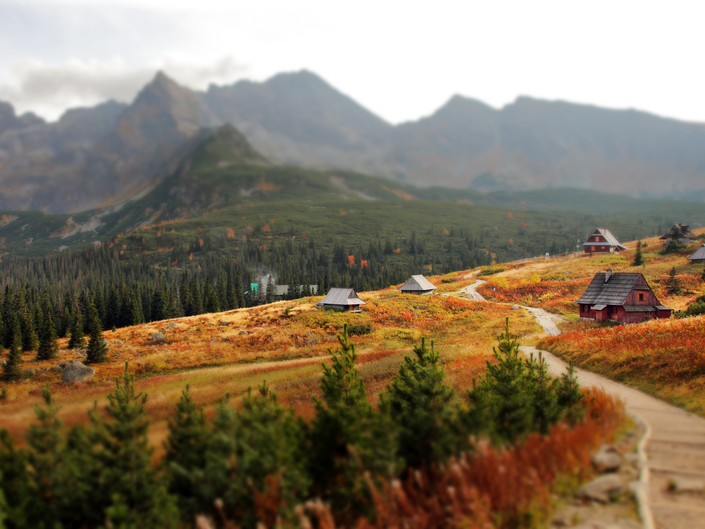 Посёлок на фоне гор Татры