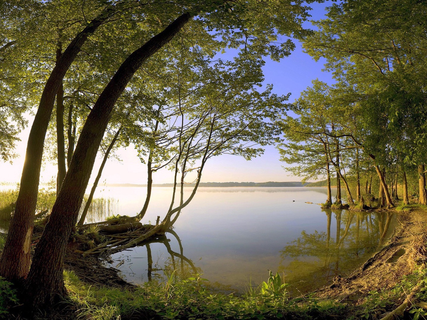 Тихое лесное озеро