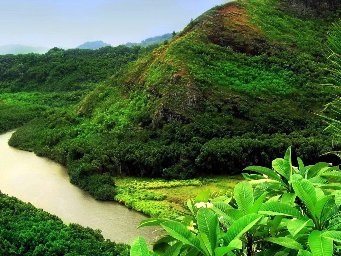 Джунгли вдоль реки