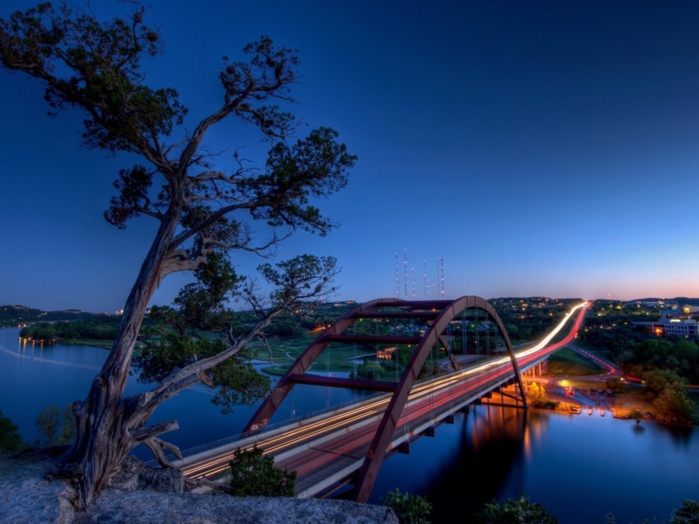 Дерево на скале и мост