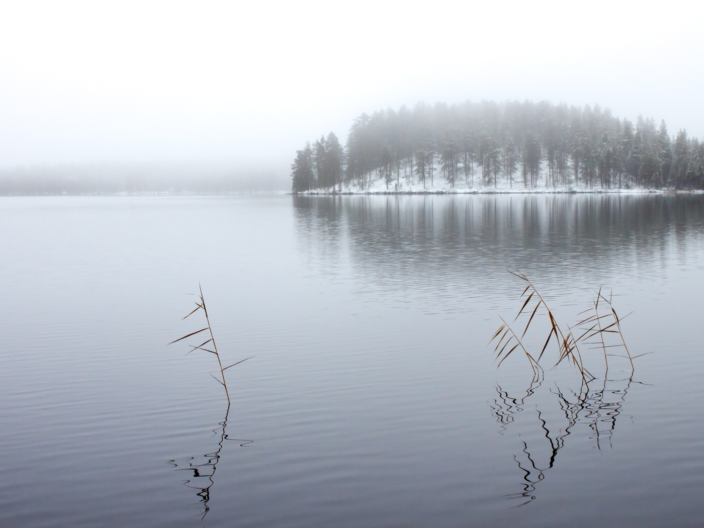 Зимнее озеро в тумане