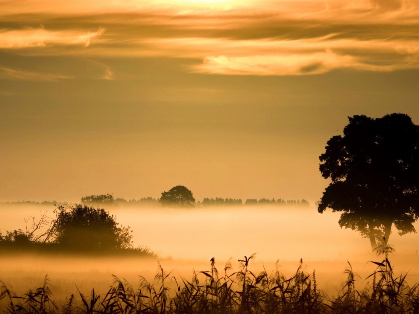 Туманное утро у озера