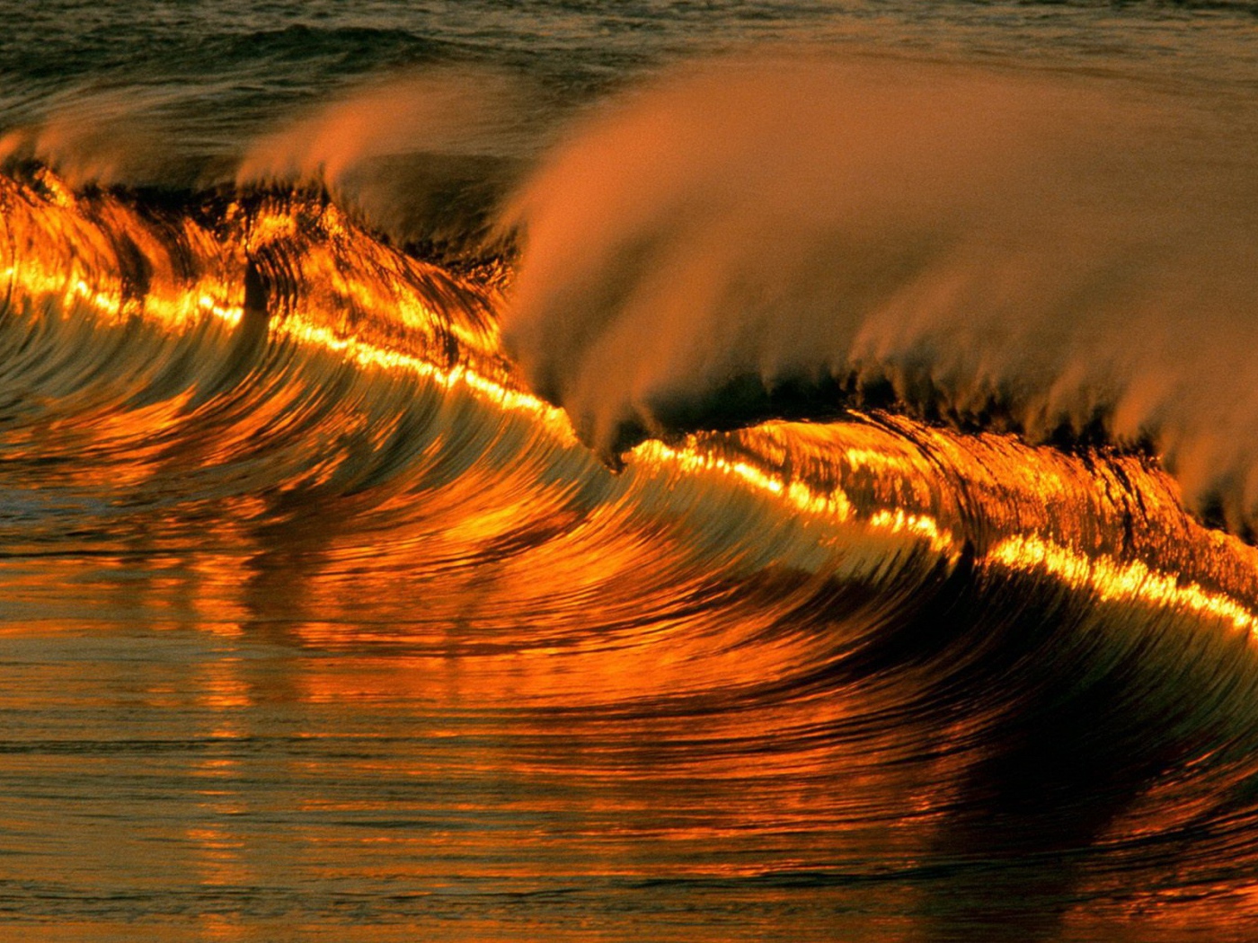 Солнце отражается в волне