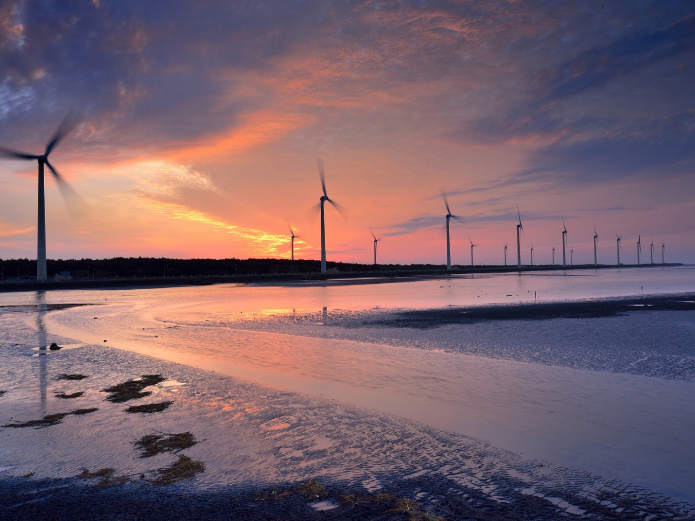 Ветряки на побережье