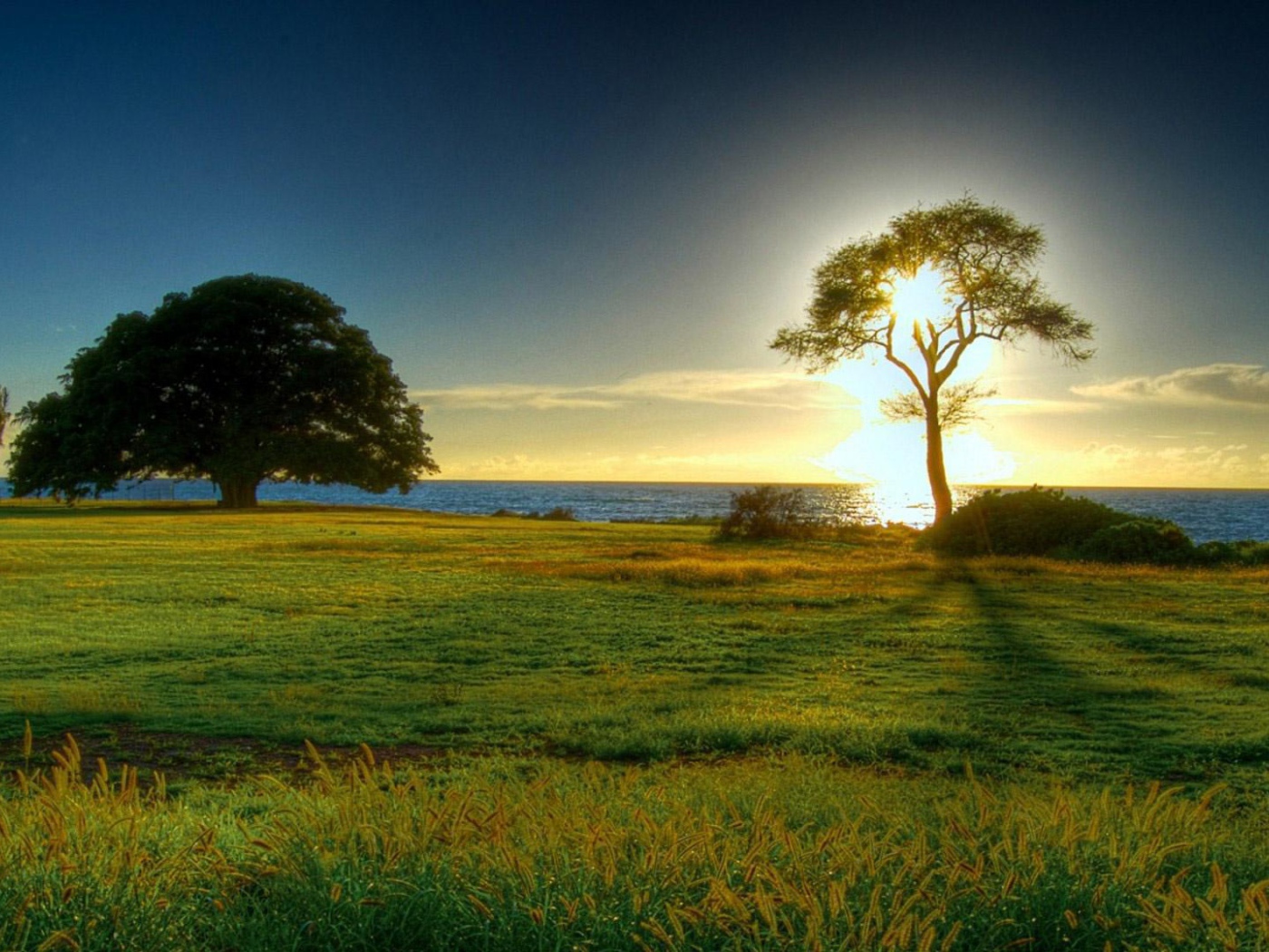 Летний вечер на берегу моря