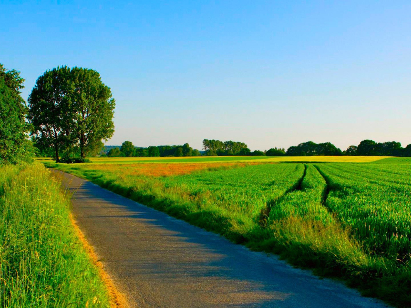 Summer road among manicured fields